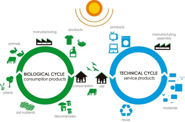 The Circular Economy - What Is It And Why Does It Matter? - Recycle ...