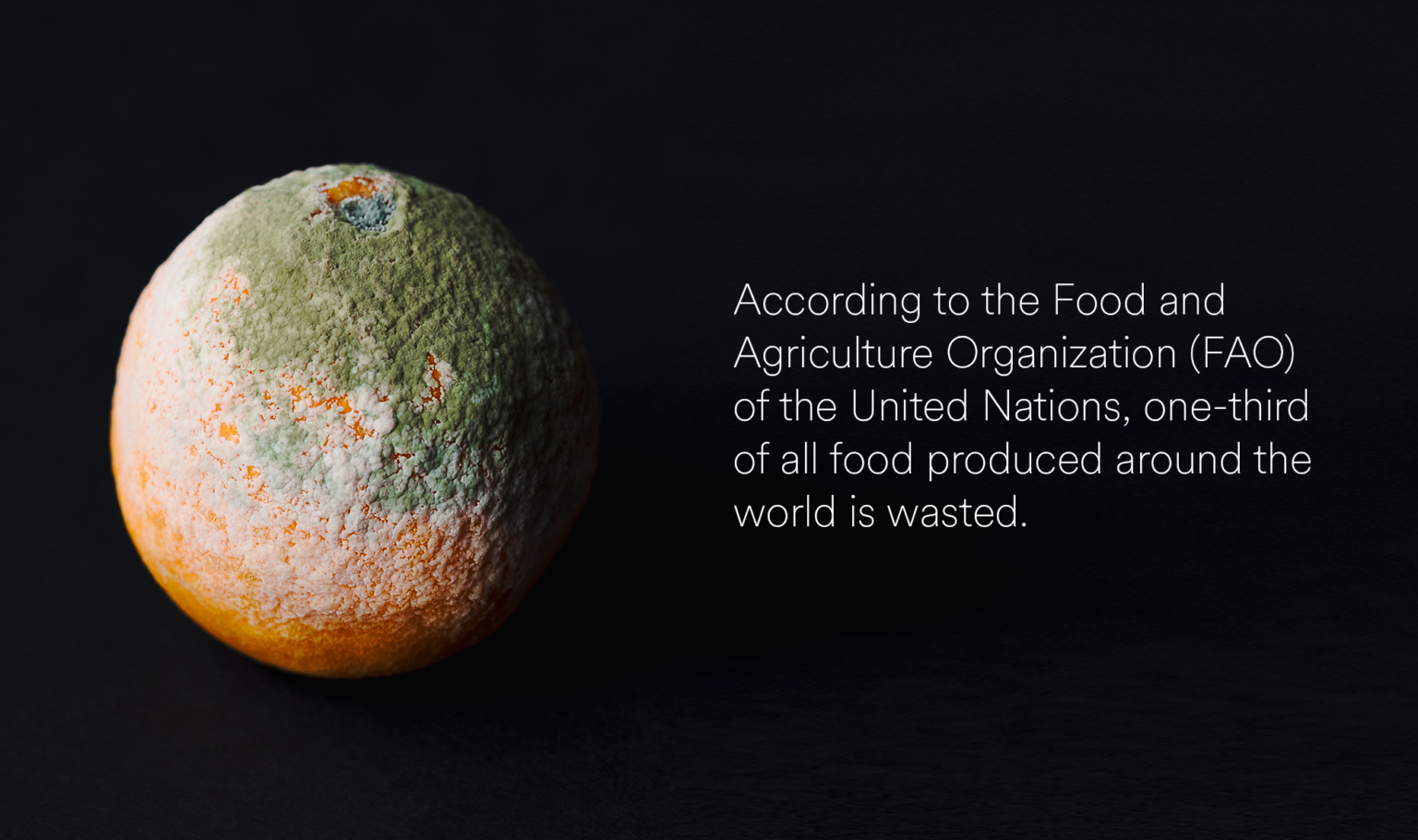 Food Waste in America in 2024 Statistics & Facts RTS