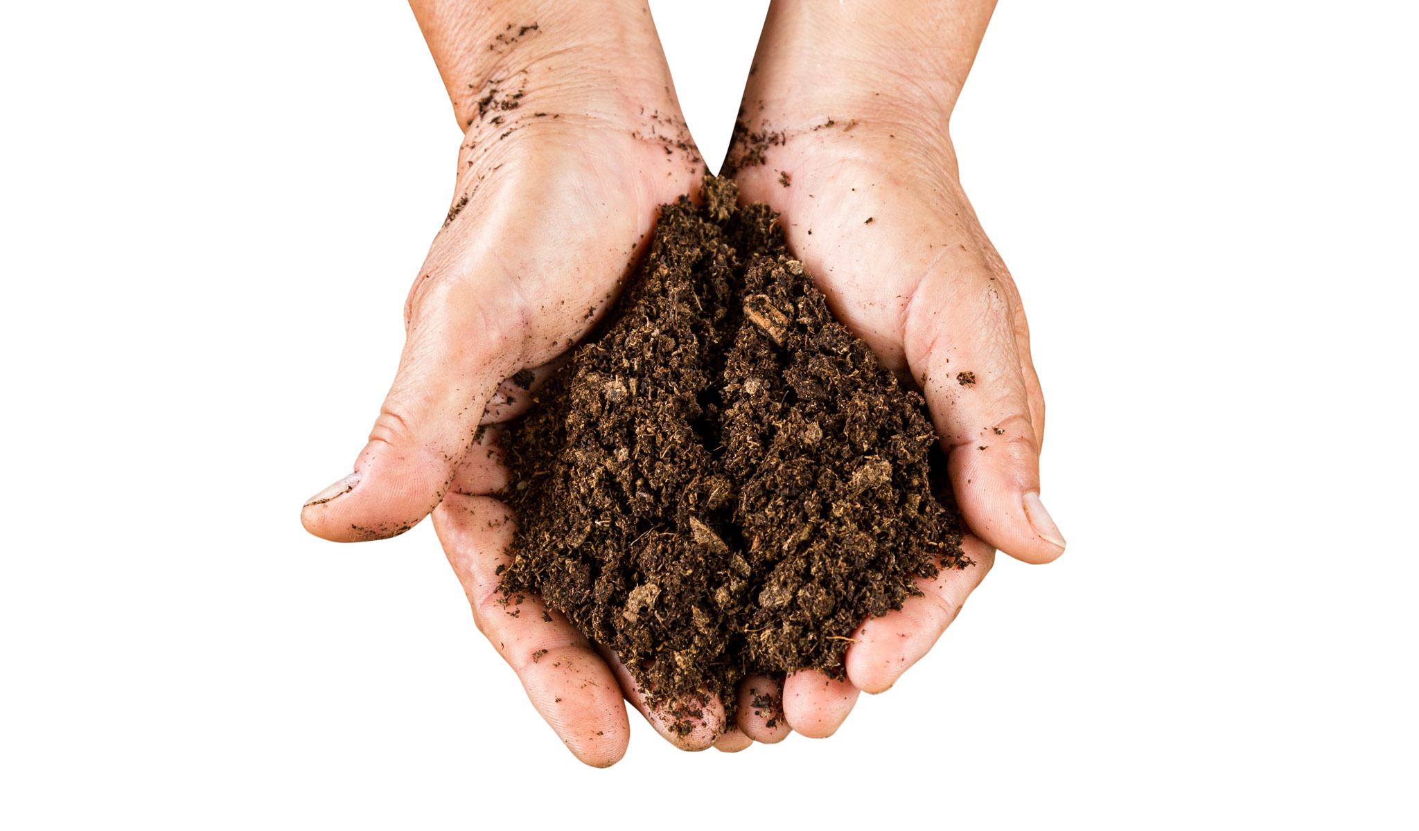 Guide and Tips on How to Compost at Home - Blogs, News, and Events